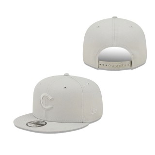Men's Chicago Cubs Gray Spring Color Pack 9FIFTY Snapback Hat