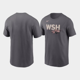 Washington Nationals 2022 City Connect Gray Men's Wordmark T-shirt