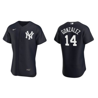 Men's Yankees Marwin Gonzalez Navy Authentic Alternate Jersey