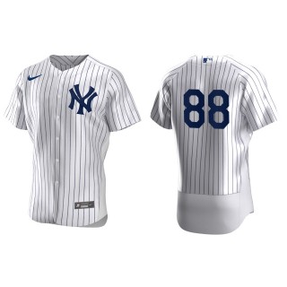 Austin Wells Yankees White Authentic Home Jersey