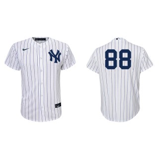 Youth Austin Wells Yankees White Navy Replica Home Jersey