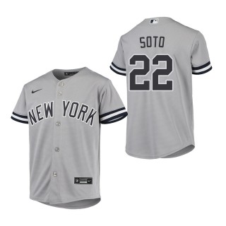 Youth New York Yankees Juan Soto Gray Replica Road Jersey